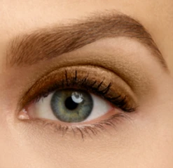 BOURJOIS 1 SECOND EYESHADOW – 3G – 03 BELLE PLUM (NON CARDED) -Sigma Store BOURJOIS 3g EYESHADOW 02 BRUN ETTE A DOREE NON CARDED6